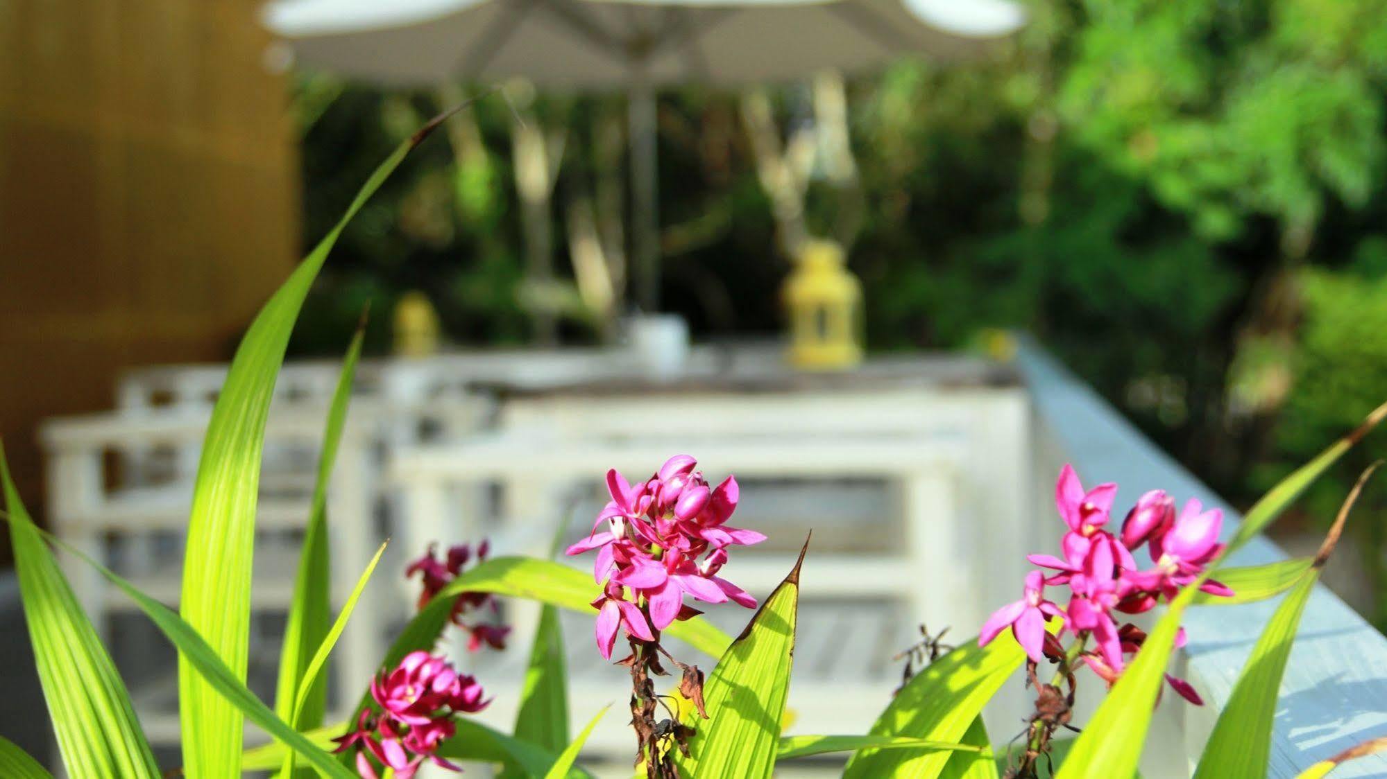 Emis Hotel Phu Quoc Bagian luar foto